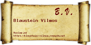 Blaustein Vilmos névjegykártya